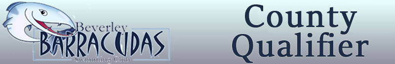 Sprints banner logo