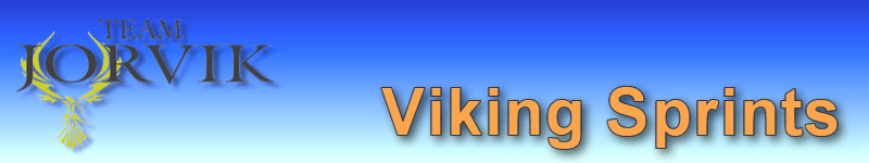 viking banner logo