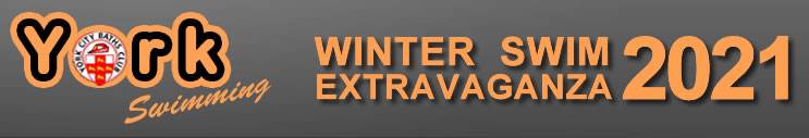 winter banner logo